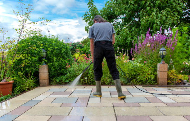Best Driveway Pressure Washing  in Fox Lake Hls, IL